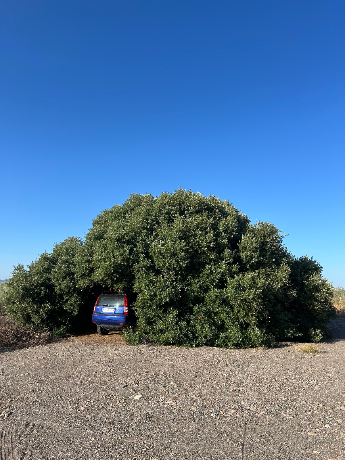 El que quemaron de los Gibaos
